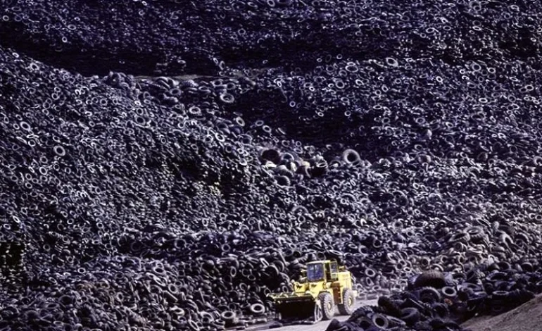  چگونه تایرها سبز می‌شوند؟