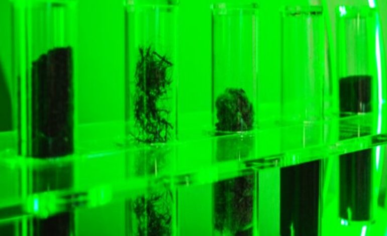  کربن سیاه بازیافتی: طلای سیاه از تایرهای فرسوده