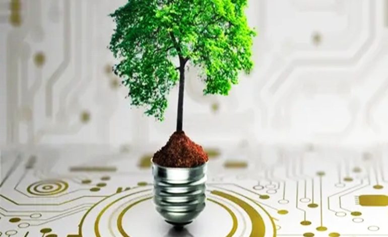  نوآوری‌های اکولوژیکی حامی توسعه پایدار: مورد صنعت تایر لهستان