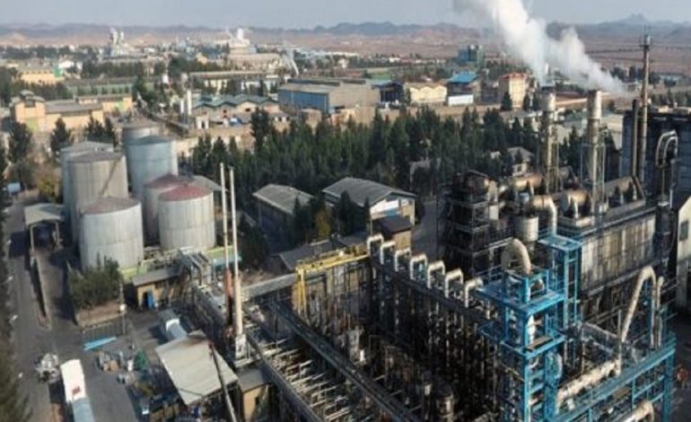  افت 3 درصدی تولید و رشد 27 درصدی درآمد شدوص در 1404